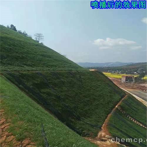广州50米边坡种草机本地出租